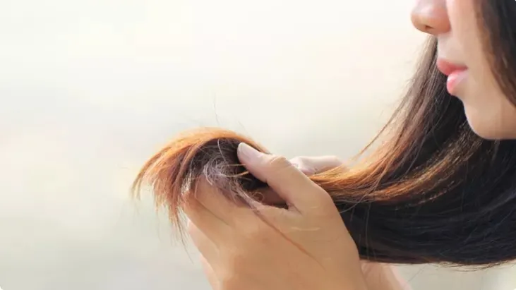 rambut kering