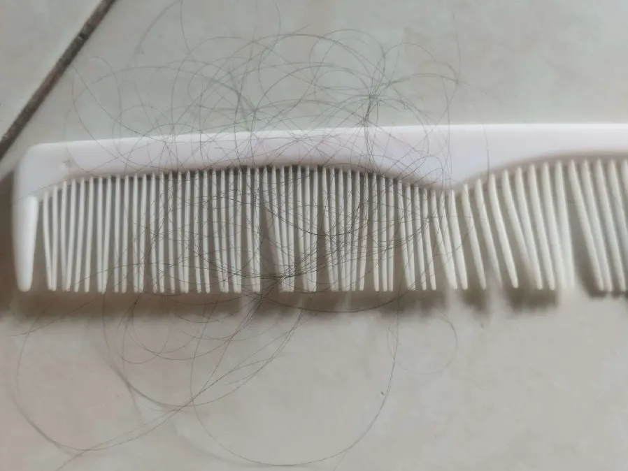 sisir penuh rambut