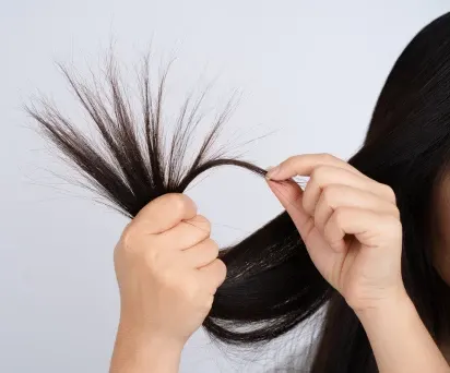 rambut bercabang