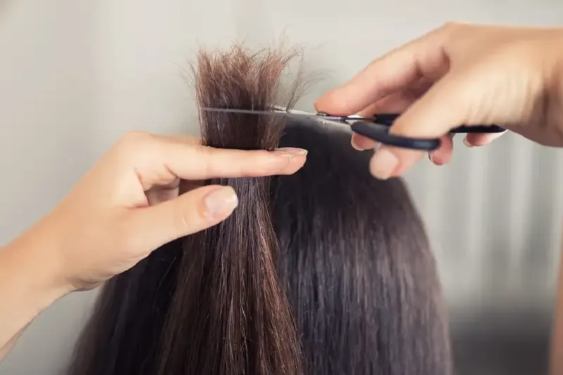 rambut bercabang